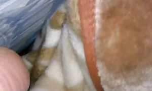 Telecamera video massaggio erotico giapponese nascosta girato le gambe in hotel